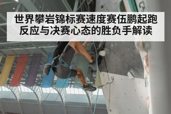 speed climbing competition - 3377.com